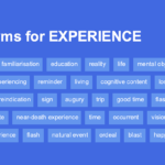 another word for experience