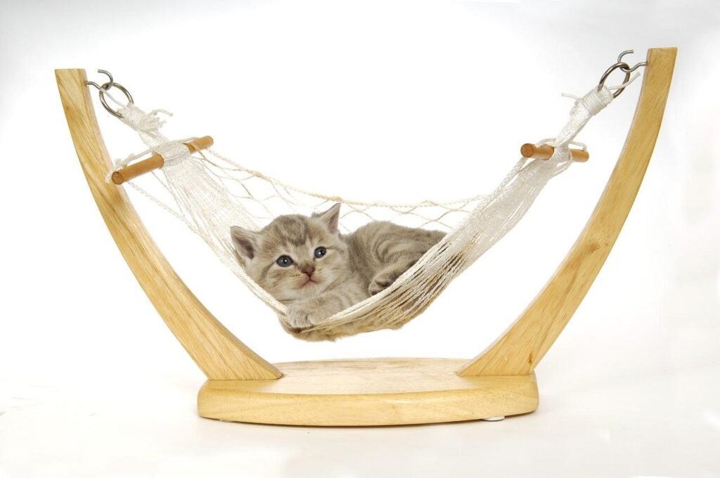 Hammock